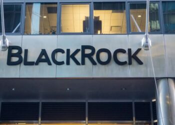 GIP states that BlackRock will not participate in the privatization of Malaysia Airports
