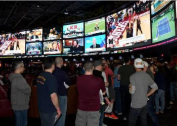 How Can I Win Every Day in Sports Betting?