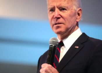 The Democratic Party faces ‘a lot of pressure’ on immigration