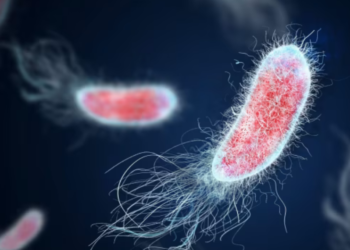 The Longitude Prize on AMR is given to Sysmex for their antimicrobial testing system