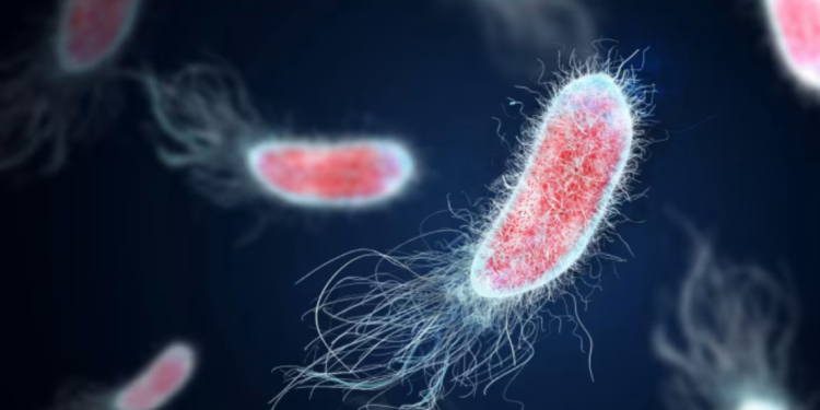 The Longitude Prize on AMR is given to Sysmex for their antimicrobial testing system
