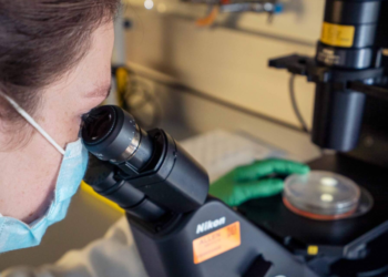 The first disease-specific cell line collections are released by the Allen Institute for Cell Science