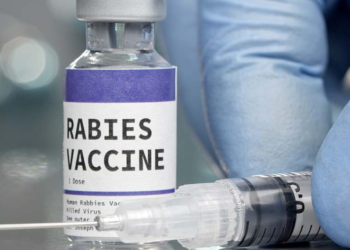 Gavi will increase over 50 nations’ access to human rabies vaccines, which can save lives