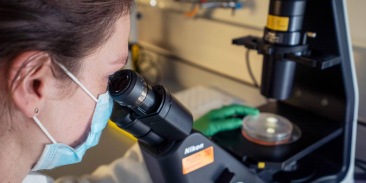 The first disease-specific cell line collections are released by the Allen Institute for Cell Science