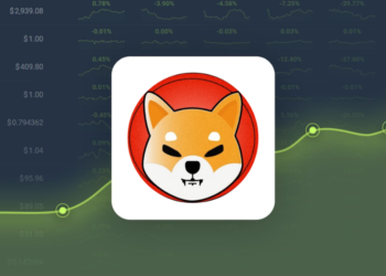 Forecast for SHIB Prices on June 24