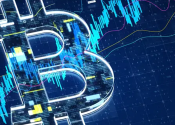 Analysis of the bitcoin market: present patterns, price changes, and prospects