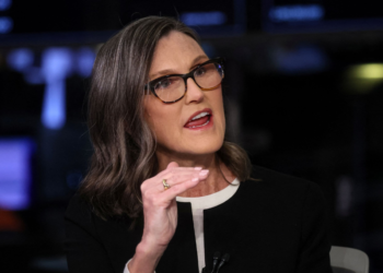 Cathie Wood’s ARK Innovation is boosted by the Tesla Stock Rebound, but there are still issues