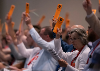 Southern Baptists have voted to oppose the use of in vitro fertilization technology