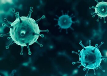 Health officials report a decrease in Garden Isle numbers but an increase in COVID-19 cases statewide