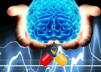 Seven nutritious foods that improve memory and cognitive function