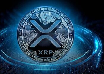 XRP Price: As the Ripple lawsuit moves to a magistrate judge, whales hoard 130 million coins. What comes next?