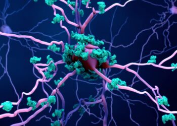 Analyst: Regulatory trust in Anti-Amyloid antibodies is reflected in Eli Lilly’s Alzheimer’s Therapy’s broad-label