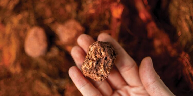 This ‘boring’ Copper Miner is outwitting its rivals