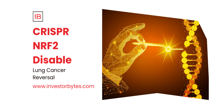 CRISPR NRF2 Disable: Gene Knockout Resensitizes Lung Tumors to Chemo in Precision Strike