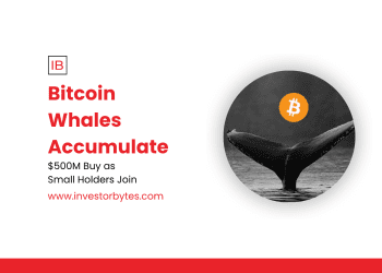 Bitcoin Whales Accumulate