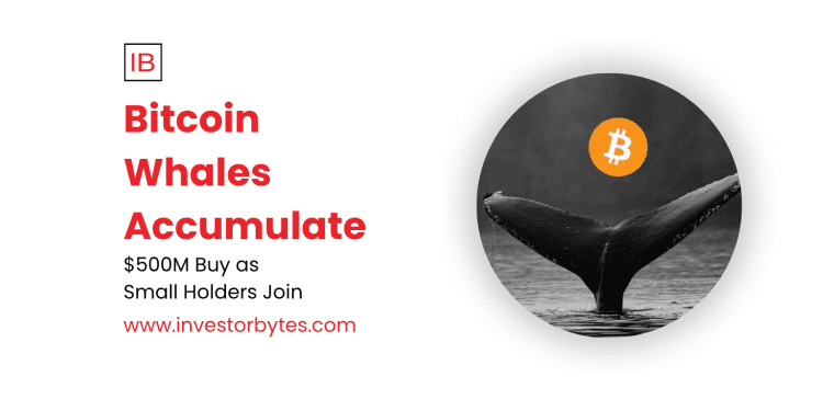 Bitcoin Whales Accumulate