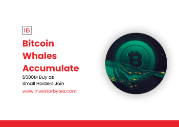 Bitcoin Whales Accumulate