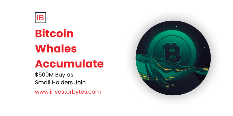 Bitcoin Whales Accumulate