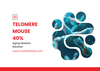 Telomere Mouse 40%