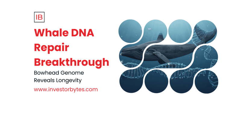 Whale DNA Repair Breakthrough
