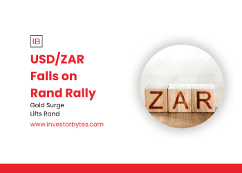 USD/ZAR Falls on Rand Rally