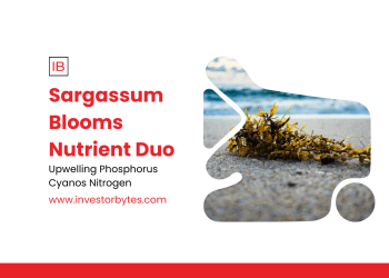 Sargassum Blooms Nutrient Duo