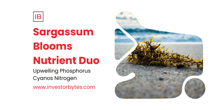 Sargassum Blooms Nutrient Duo