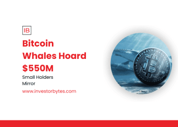 Bitcoin Whales Hoard $550M