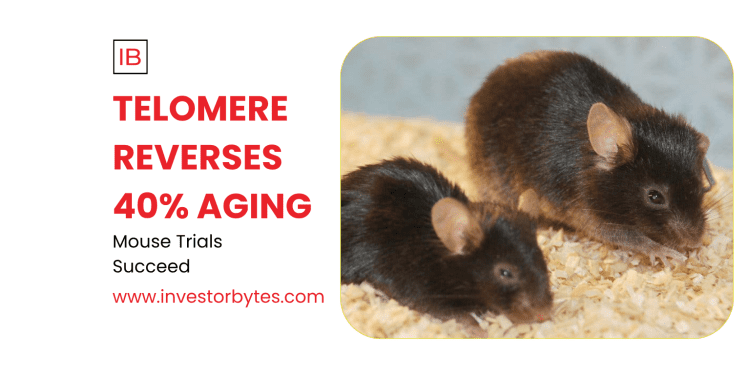 Telomere Aging Reverse 40%