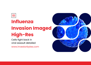 Influenza Invasion Imaged High-Res