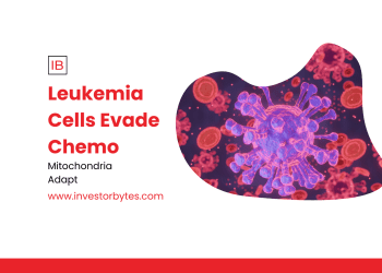Leukemia Cells Evade Chemo