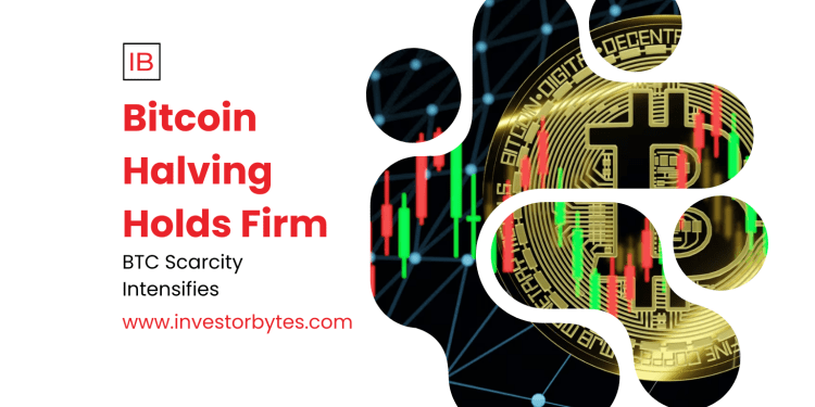 Bitcoin Halving Holds Firm
