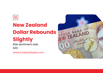 New Zealand Dollar Rebounds Slightly