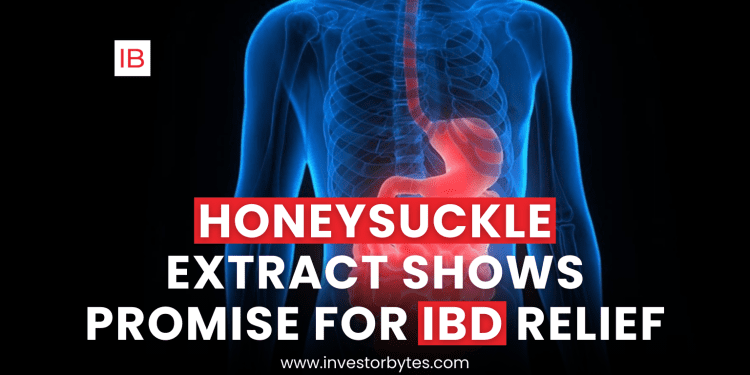Honeysuckle Extract Shows Promise for IBD Relief