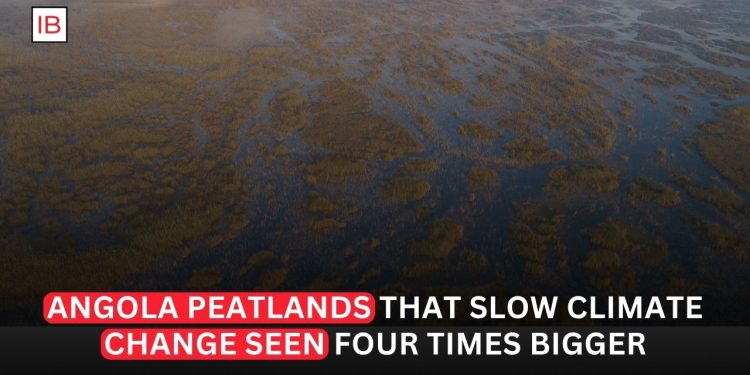 Angola’s Peatlands Seen Four Times Larger, Offering Major Climate Protection Potential