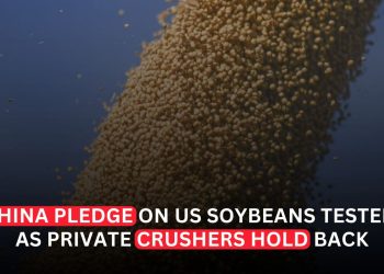China’s US Soybean Pledge Faces Test as Private Crushers Hold Back
