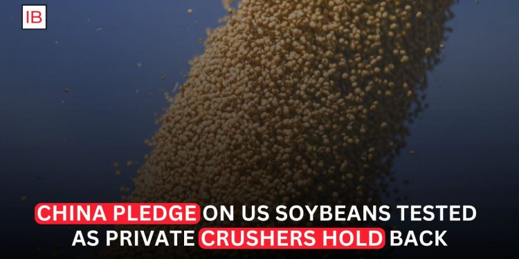China’s US Soybean Pledge Faces Test as Private Crushers Hold Back