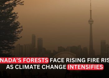 Climate Change Made Canada’s Forests Far More Likely to Burn, Scientists Find