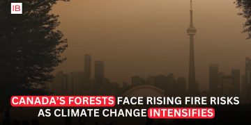 Climate Change Made Canada’s Forests Far More Likely to Burn, Scientists Find