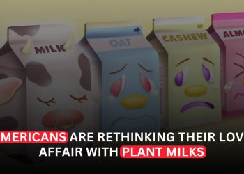 Dairy-Free Milk Sales in Decline as Americans Choose Cow's Milk
