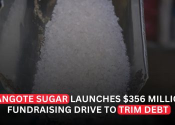 Dangote Sugar Raises $356 Million in Share Sale to Trim Debt