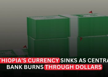 Ethiopia’s Birr Slides as Central Bank Burns Through Dollars to Defend Currency
