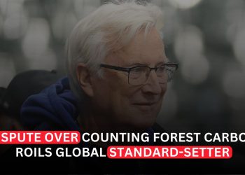 Forest Carbon Fight Exposes Growing Tensions in the Global Carbon Market