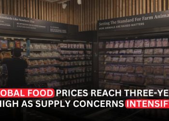 Global Food Prices Climb to Three-Year High as Supply Concerns Intensify
