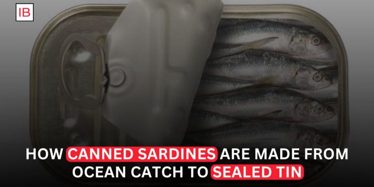 How a Sardine Gets From the Ocean to a Can