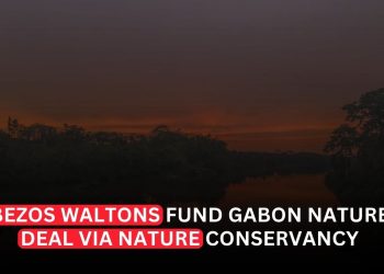 Nature Conservancy Wins Gabon Nature Finance Backing From Bezos and Waltons