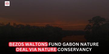 Nature Conservancy Wins Gabon Nature Finance Backing From Bezos and Waltons