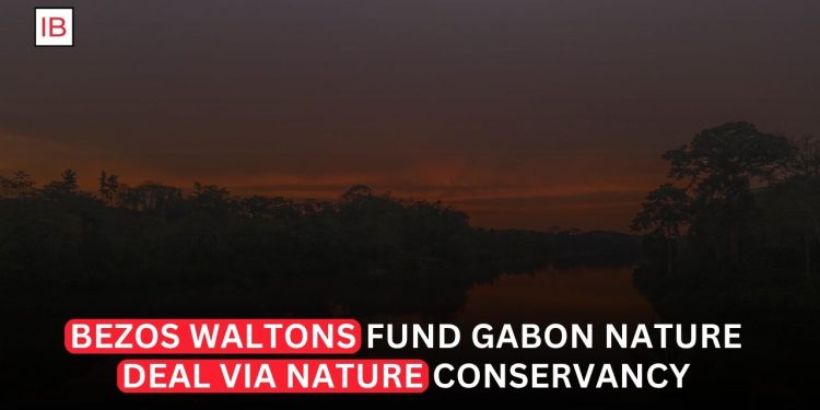 Nature Conservancy Wins Gabon Nature Finance Backing From Bezos and Waltons