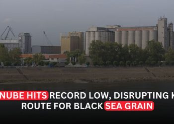 Record-Low Danube Water Levels Strain Vital Route for Black Sea Grain