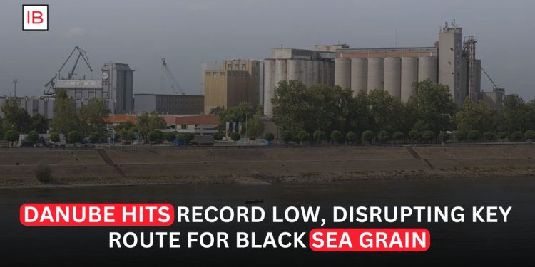 Record-Low Danube Water Levels Strain Vital Route for Black Sea Grain